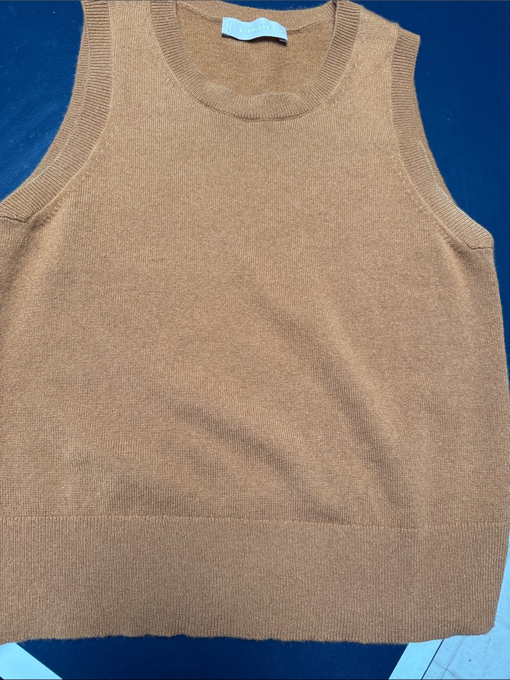 Everlane cashmere vest S